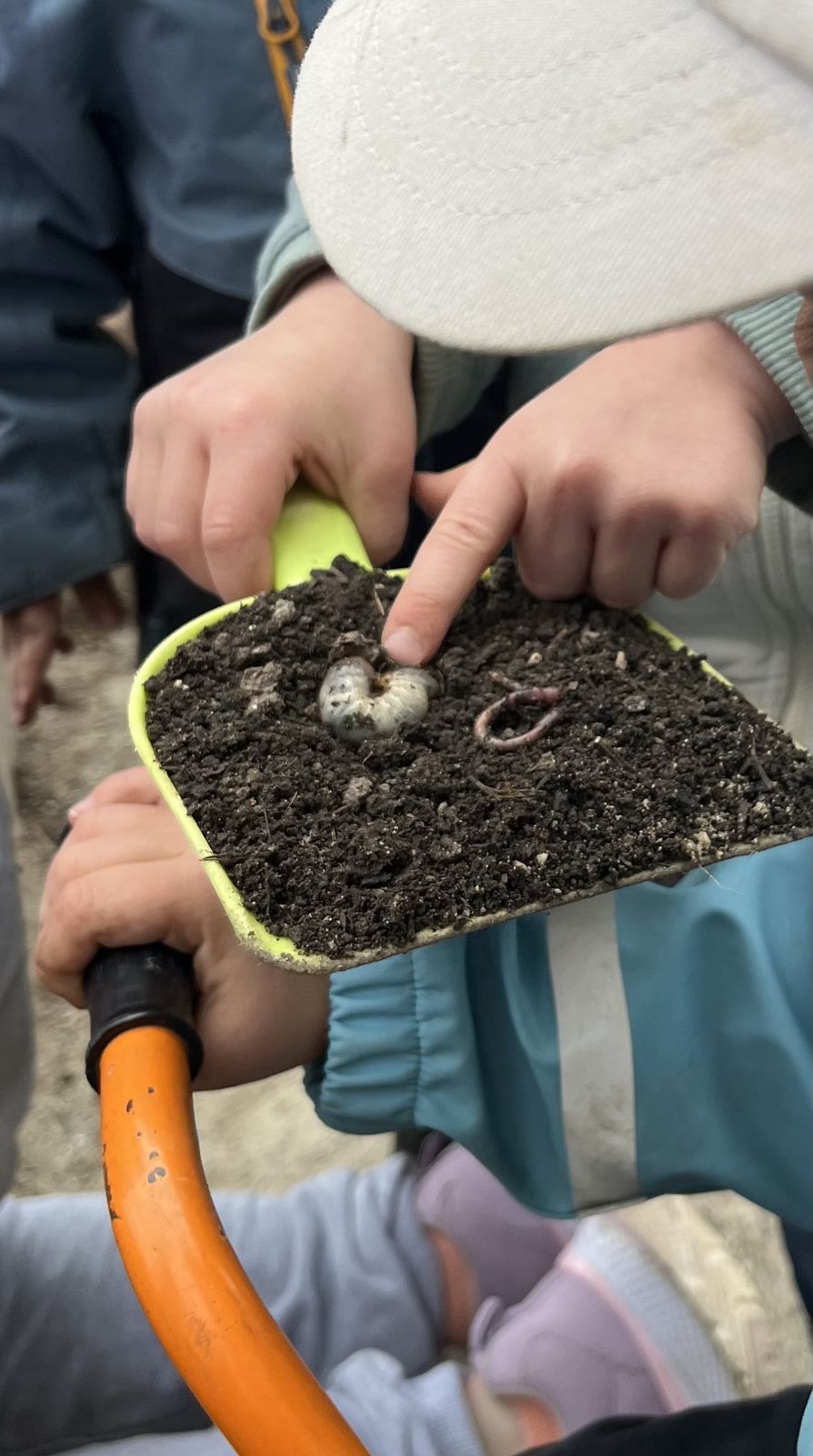 Kinder pflanzen im Garten der Kita